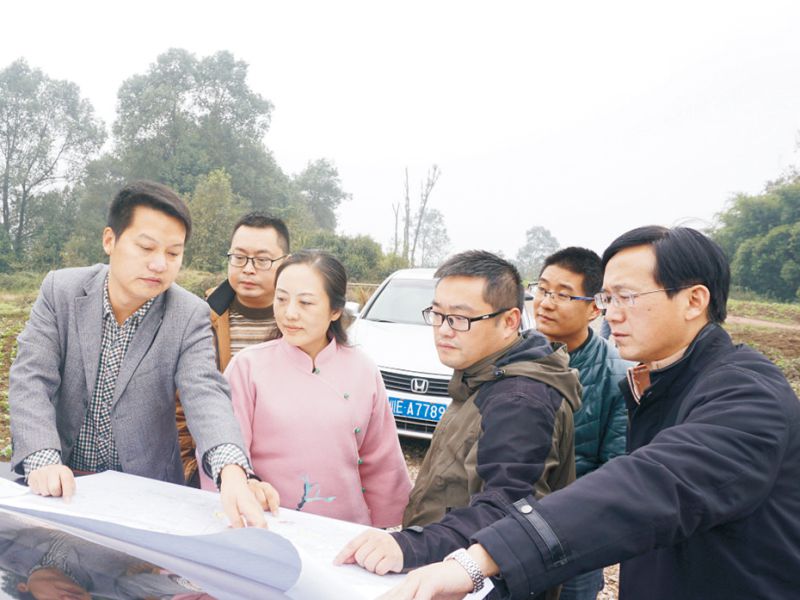 今年会jinnianhui园林绿化维护